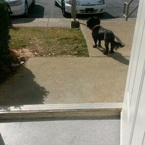 Meet your Posher, Ericka